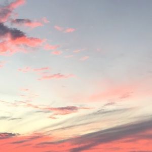 Meet your Posher, Echo